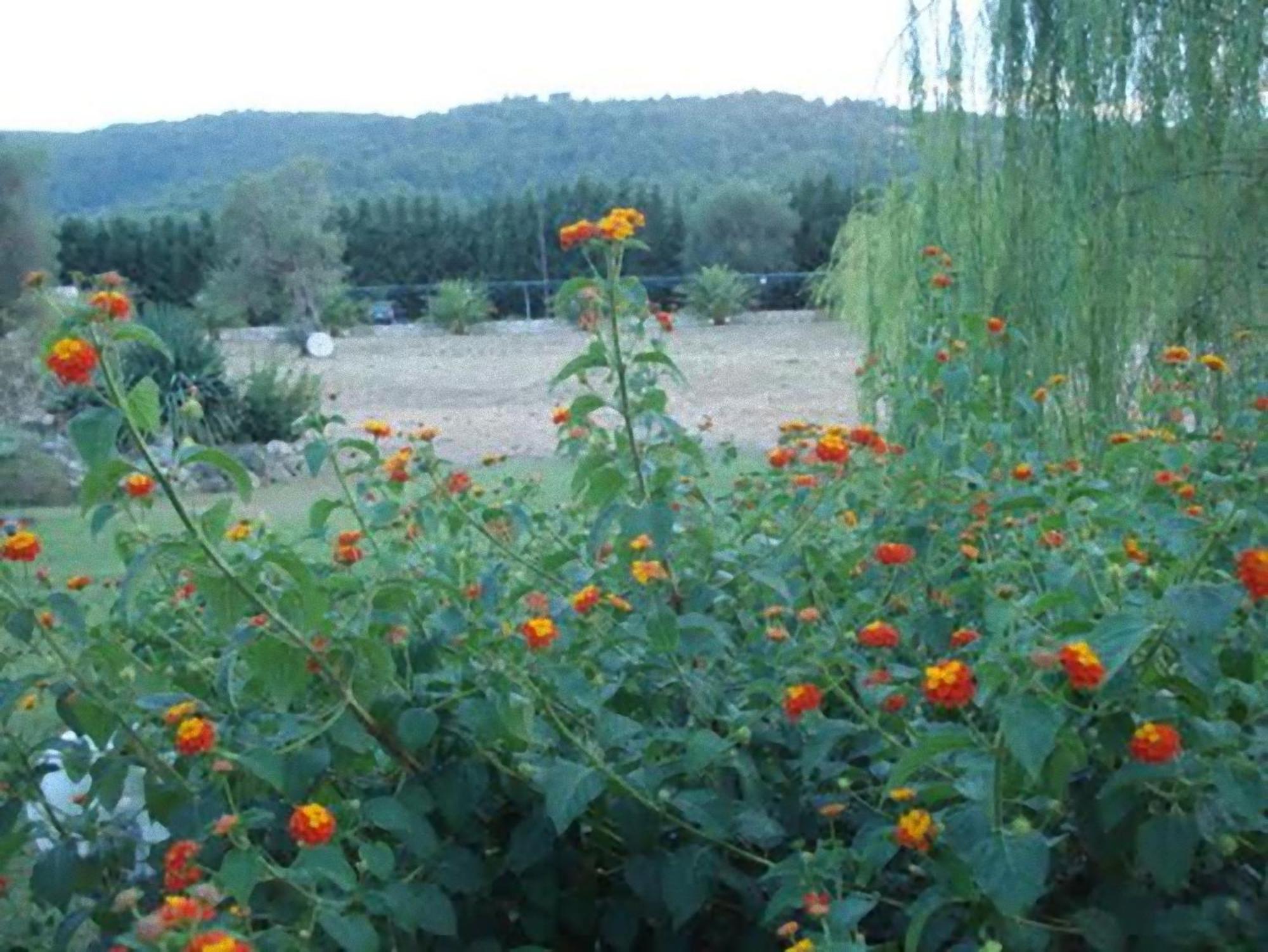 فيلا La Piana Di Calena بيسْكيتْشّي المظهر الخارجي الصورة