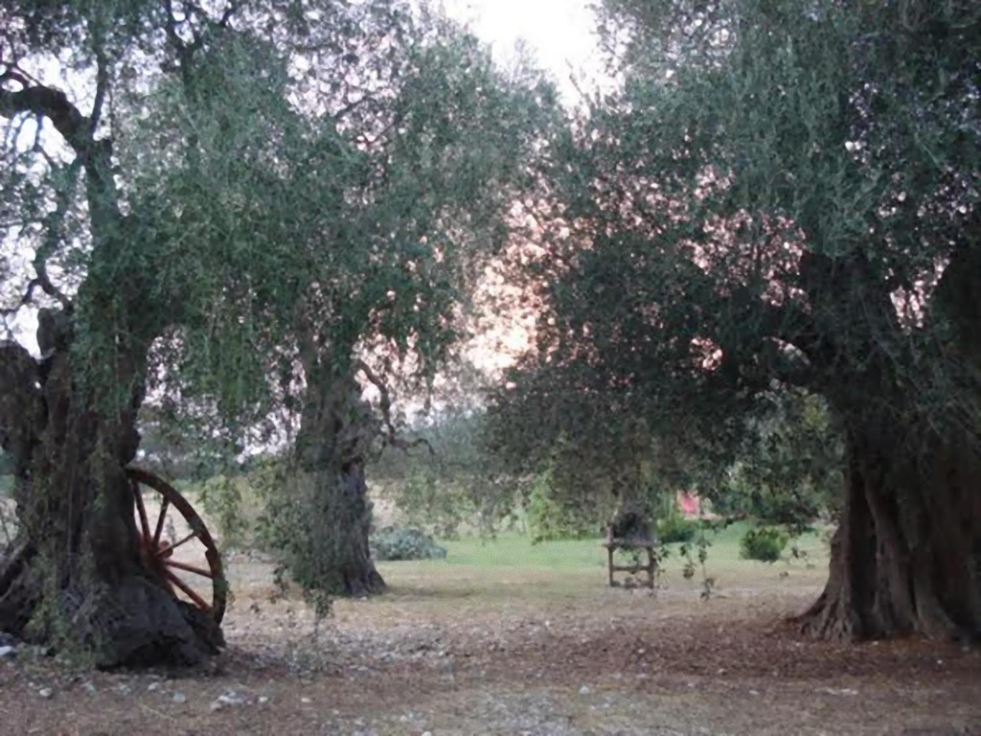 فيلا La Piana Di Calena بيسْكيتْشّي المظهر الخارجي الصورة