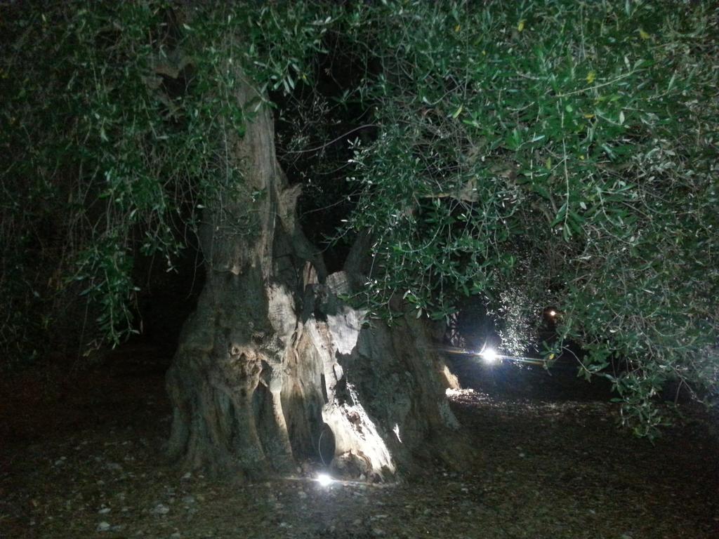 فيلا La Piana Di Calena بيسْكيتْشّي المظهر الخارجي الصورة