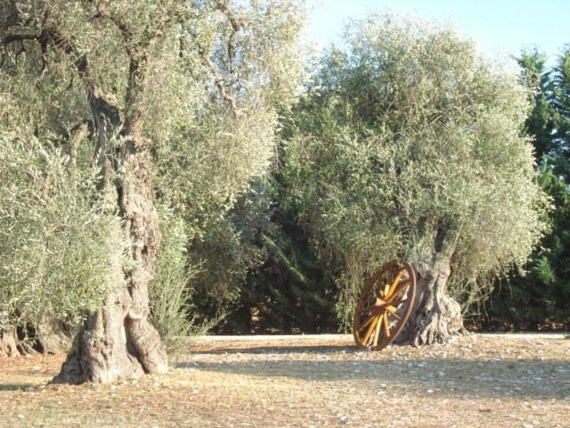 فيلا La Piana Di Calena بيسْكيتْشّي الغرفة الصورة